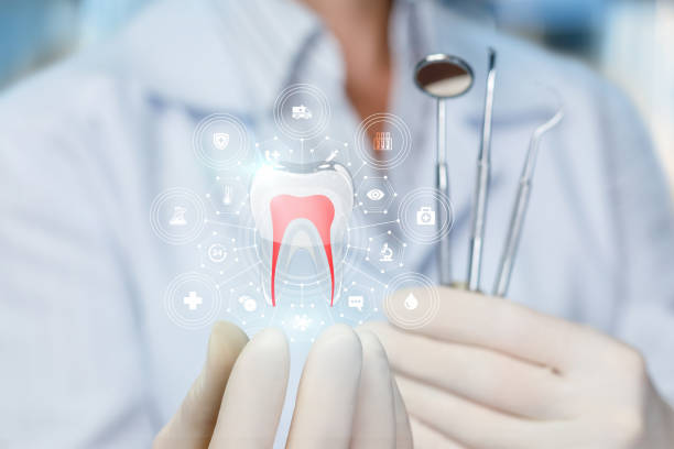Best Dental Exams and Cleanings  in Roselle Park, NJ